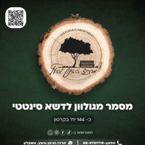 חבילת מסמרים לדשא סינטטי